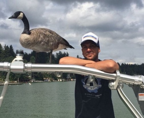 Kyle the Goose and Mike are inseparable. [Image Credit: KyleTheGoose / Instagram]
